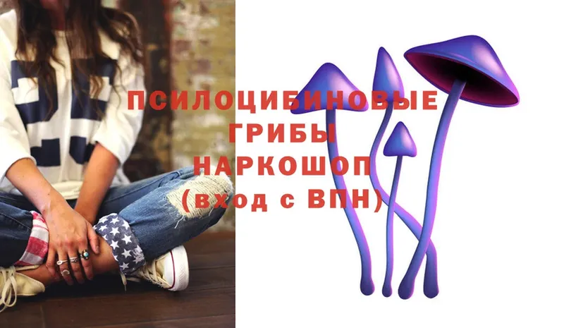 Галлюциногенные грибы Psilocybe  Димитровград 