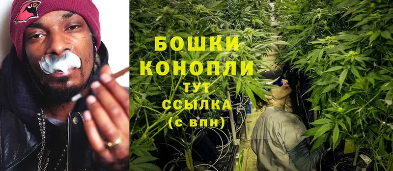 Бошки марихуана THC 21%  Димитровград 